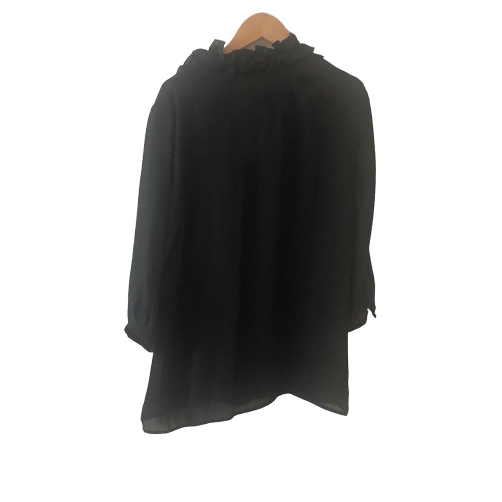 Zara Woman Sheer Ruffle Blouse Size Large - Picture 2 of 4
